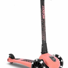 Cose_per_dire_monopattino_3led_rosa