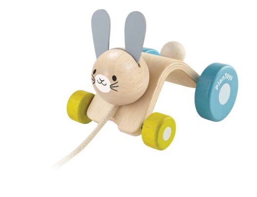 cose_per_dire_5701_Hopping Rabbit_PS