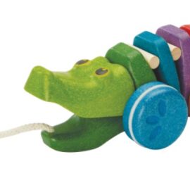 cose_per_dire_1416_Push & Pull_Rainbow Alligator_PS