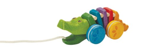 cose_per_dire_1416_Push & Pull_Rainbow Alligator_PS