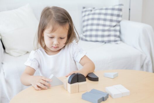 cose_per_dire_5371_Learning & Education_Fraction Blocks_LF10