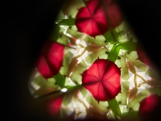cose_per_dire_5408_Kaleidoscope_10