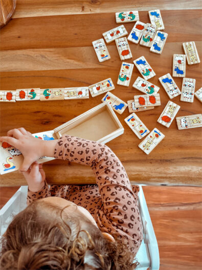 cose_per_dire_7094_small_foot_legler_domino_farm_Bloggerbilder_b