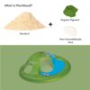cose_per_dire_6625 - info PlanWood