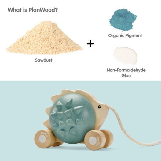 cose_per_dire_5275 - info PlanWood